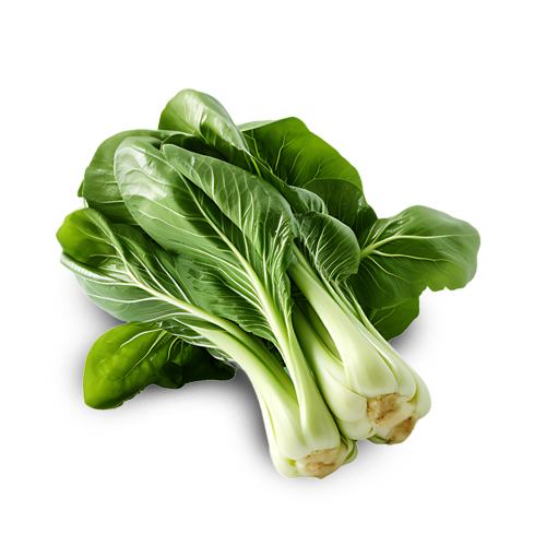 Bok Choy