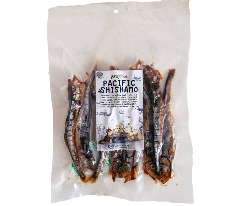 new_pacific_shishamo_274577203